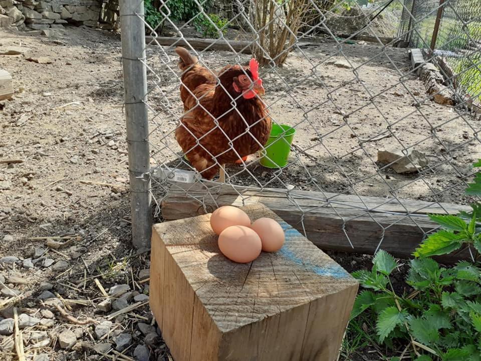 PENZION Malá farma Nemojany Kültér fotó